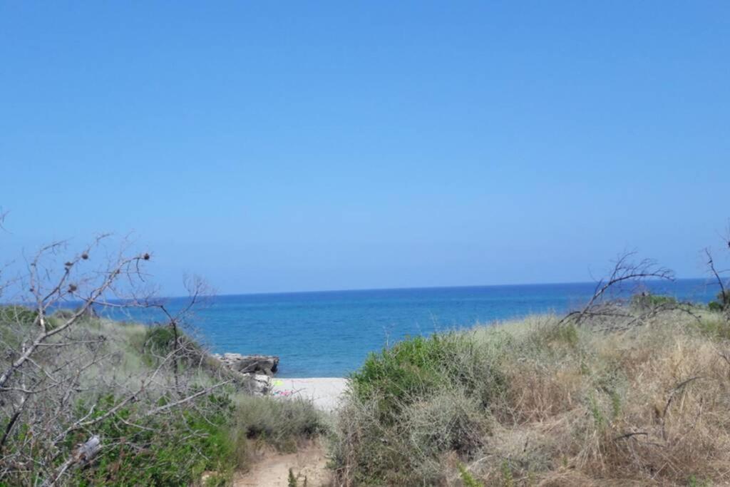 Appartement Les Pieds Dans L'Eau 300 M Plage - 2 Piscines Linguizzetta ภายนอก รูปภาพ